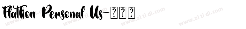 Flatlion Personal Us字体转换 Flatlion Personal Us字体转换